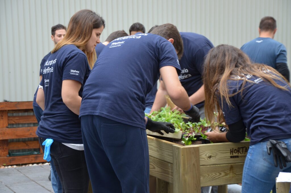 Colaboraciones con Empresa